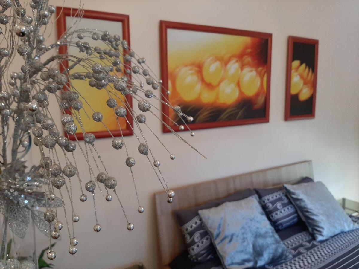 Dr Apartment Novi Sad Luaran gambar