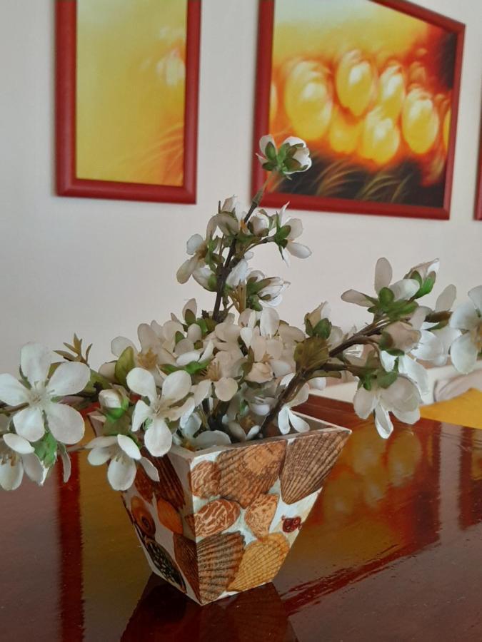 Dr Apartment Novi Sad Luaran gambar